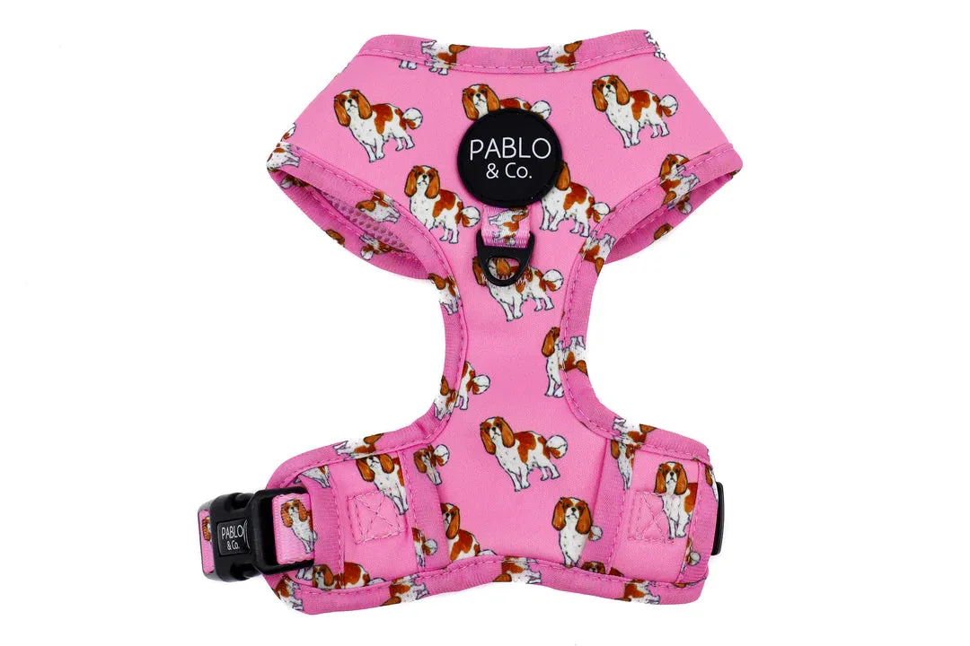 King Charles Cavalier Adjustable Harness