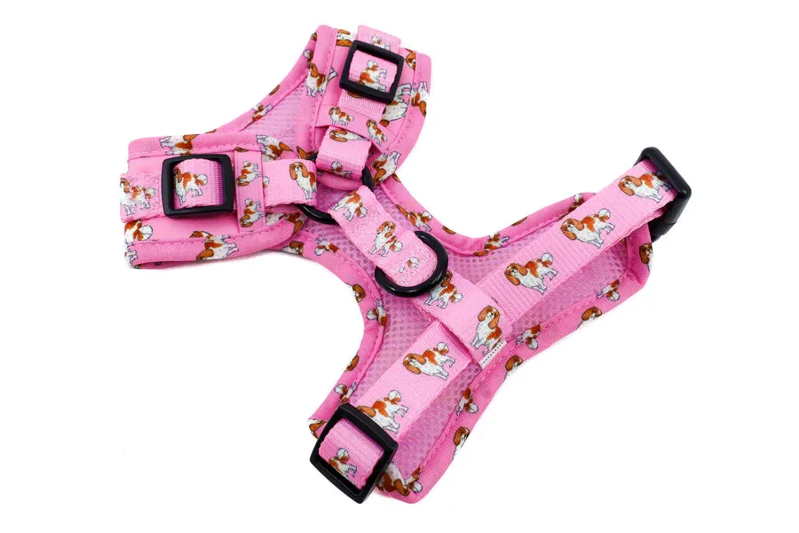 King Charles Cavalier Adjustable Harness