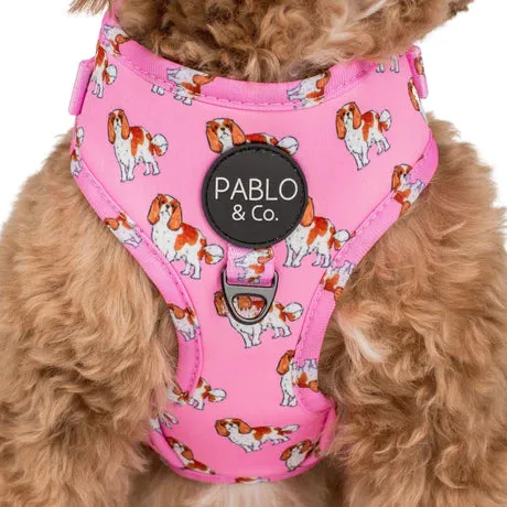 King Charles Cavalier Adjustable Harness