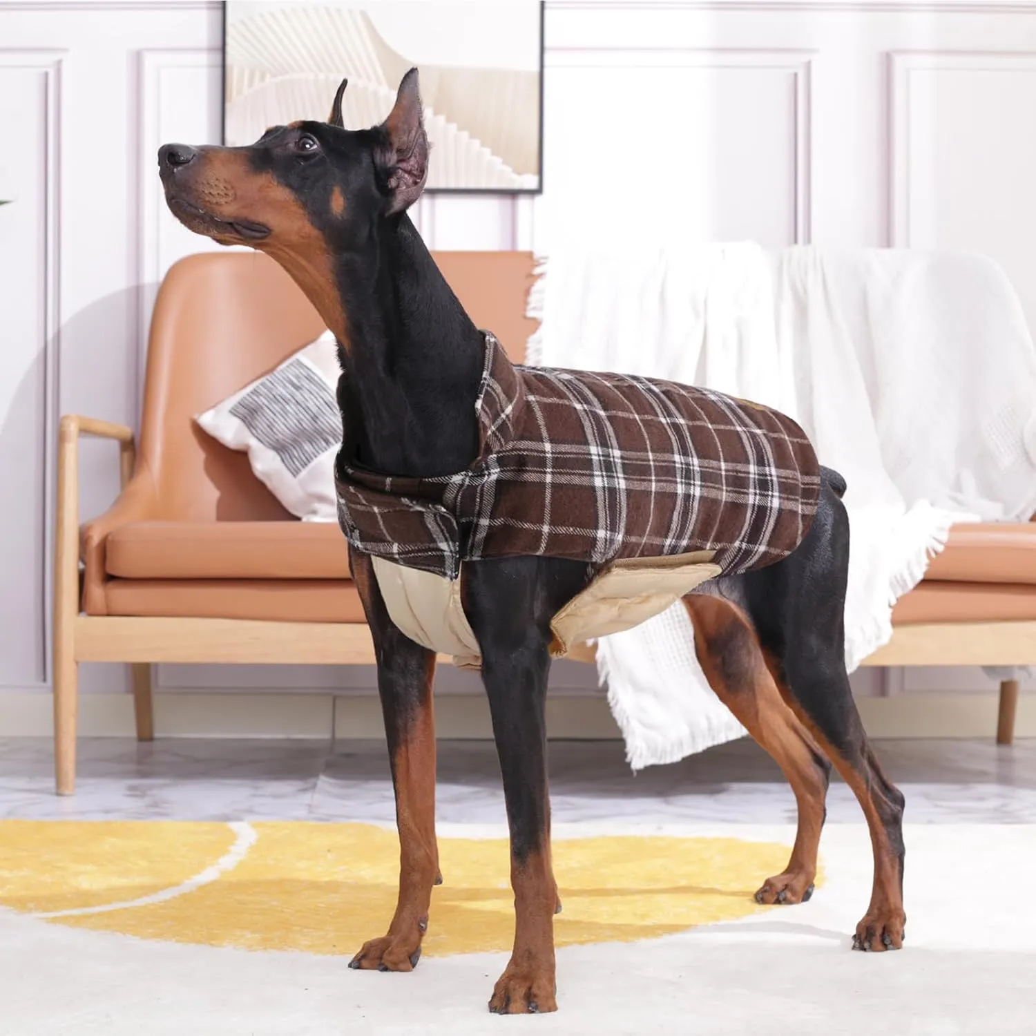 Kuoser Warm Dog Coat, Waterproof Dog Coats for X-Small Dogs, Adjustable Durable Doggie Winter Jacket Reversible Cozy Puppy Cold Weather Apparel from Small to Large Breed, Brown XS