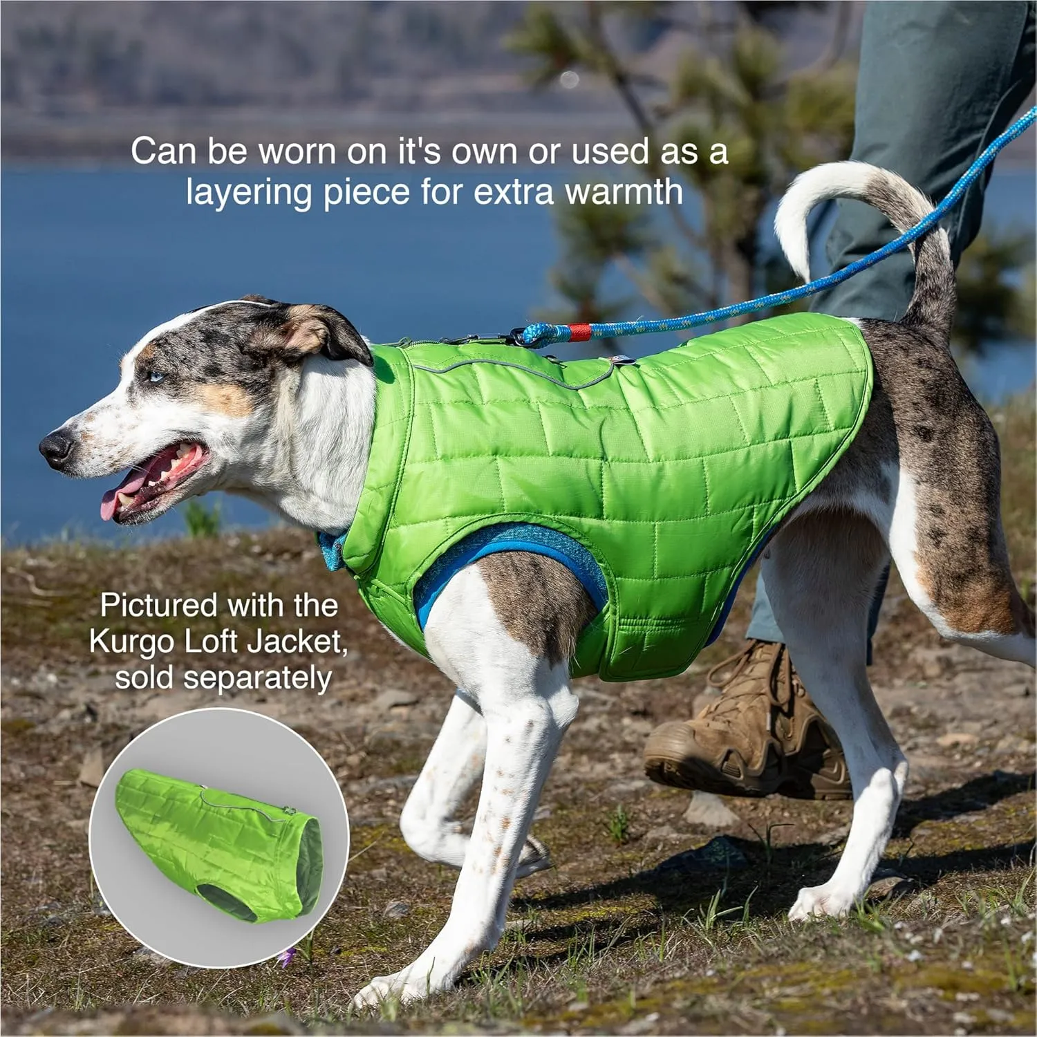 Kurgo Core Dog Sweater, Knit Dog Sweater with Fleece Lining, Cold Weather Pet Jacket, Zipper Opening for Harness, Adjustable Neck, Year-Round Sweater for Small Dogs (Green, X-Small)