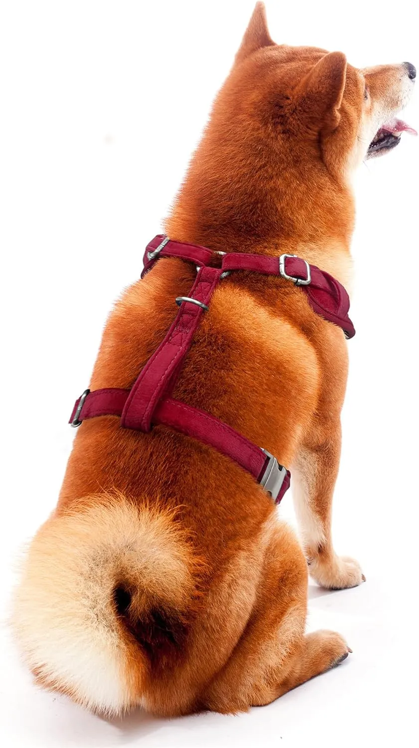 Littlearth NCAA Unisex-Adult NCAA Velvet Pet Harness