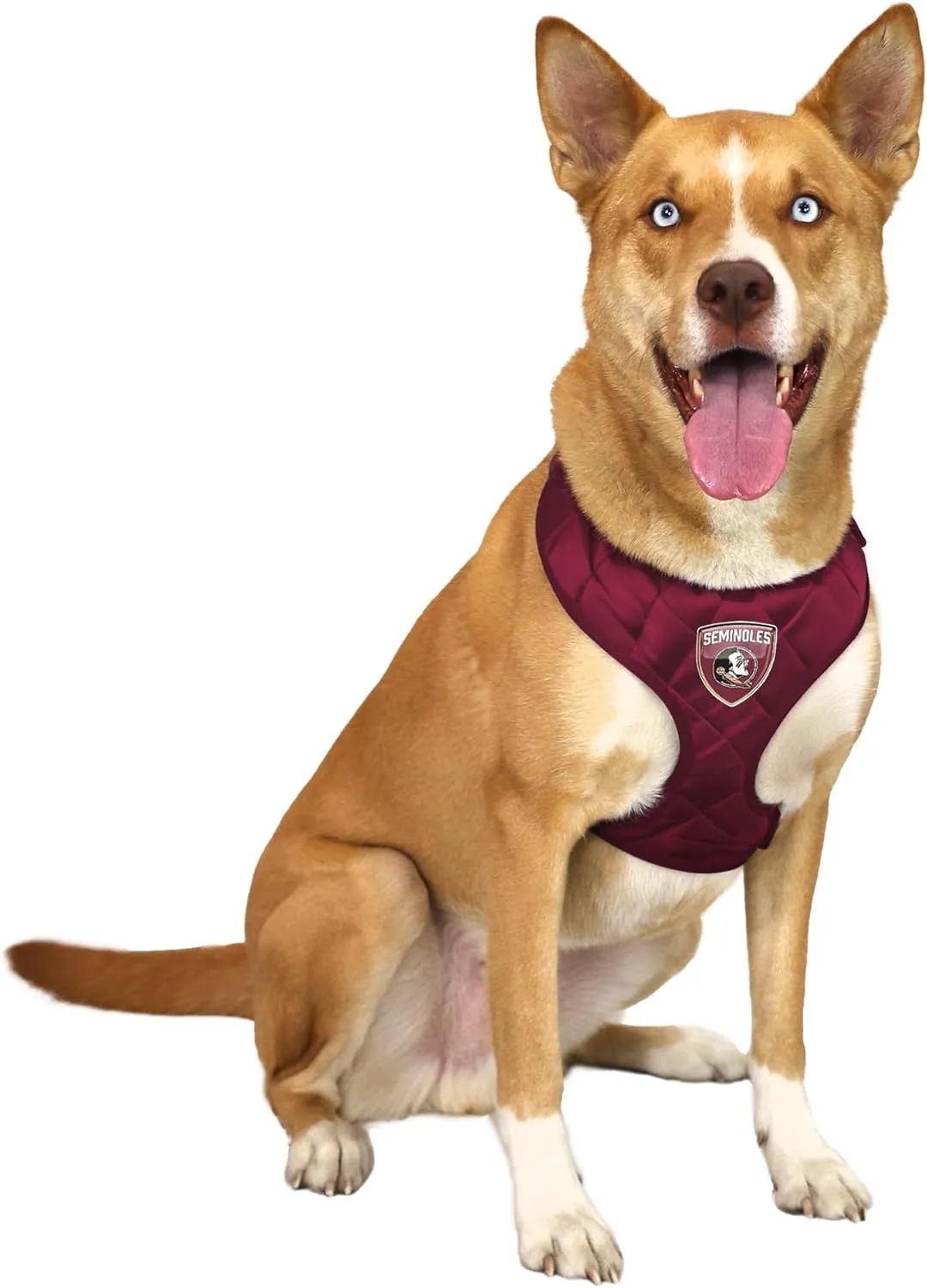 Littlearth NCAA Unisex-Adult NCAA Velvet Pet Harness
