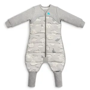 Love to Dream Extra Warm Toddler Sleep Suit (24-36 Mo), Super Soft Temp Regulating Sleeping Sack, 3.5TOG Warm Wearable Blanket, Grey