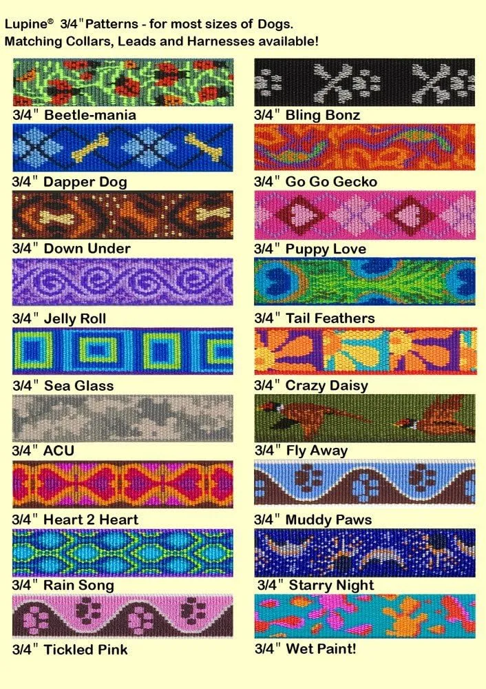 LupinePet Originals 3/4" Go Go Gecko 12-20" Adjustable Roman Dog Harness for Small Dogs