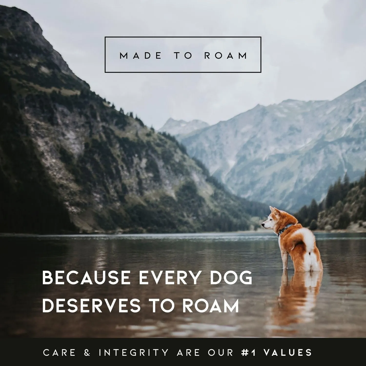 MADE TO ROAM Premium Explorer Harness - Y-Shaped Dog Harness with Adjustable Durable Nylon, Soft Padding, Metal Buckles and Leather Handle for Small, Medium, Large Dogs (California Horizon, Size 3)