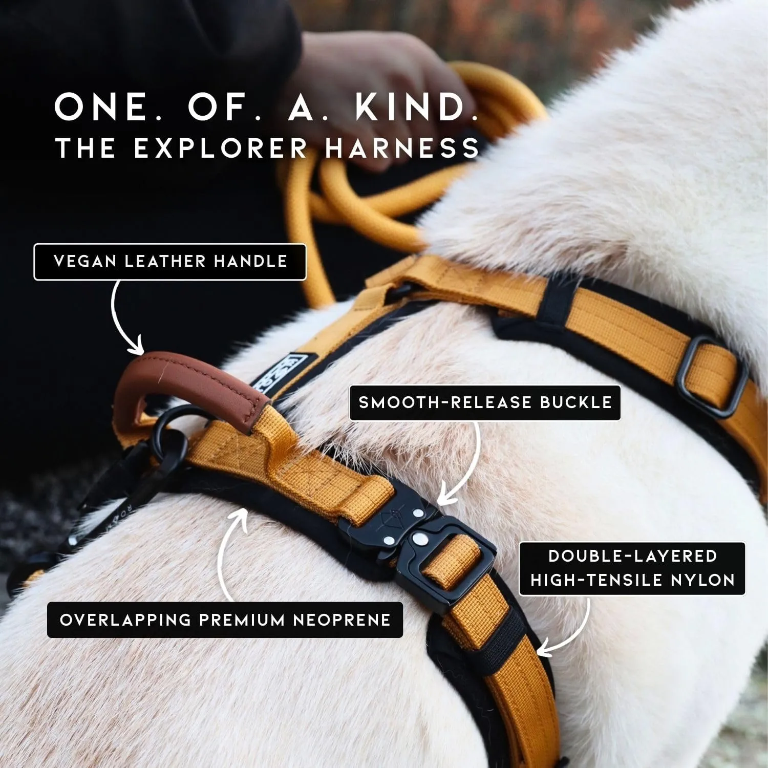 MADE TO ROAM Premium Explorer Harness - Y-Shaped Dog Harness with Adjustable Durable Nylon, Soft Padding, Metal Buckles and Leather Handle for Small, Medium, Large Dogs (California Horizon, Size 3)