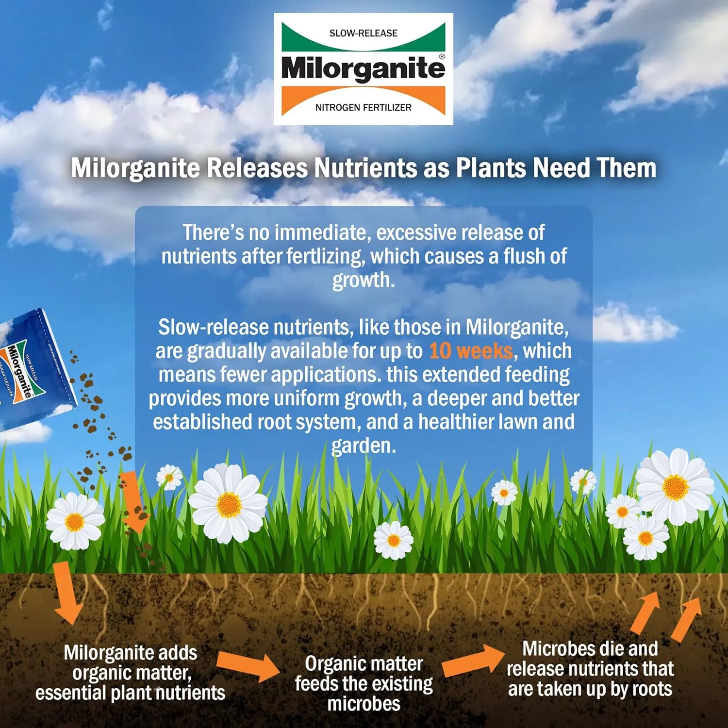 Milorganite All-Purpose Eco-Friendly Slow-Release Nitrogen 6-4-0 Fertilizer, 5 Pound Bag - for Lawns, Flowers and Gardens