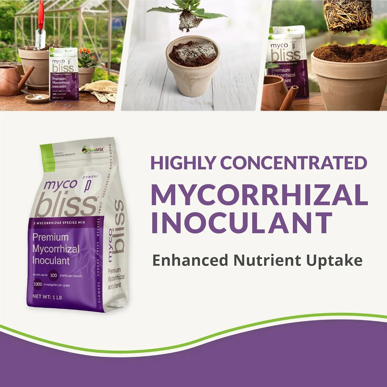 Myco Bliss Powder (1lb) - Mycorrhizal Fungi for Soil - 5 Strain Mycorrhizal Inoculant with 1000 Propagules Per Gram - Highly Concentrated Mycorrhizae for Plants, Potting Soil, & Garden Soil