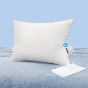 Natural Goose Down Pillows: Luxury Hotel Bed Pillow with 750 Fill Power, White Goose Down Sleeping Pillow with Pillowcase, Soft Pillow for Back, Side, Stomach Sleepers - 1 Pack, Queen (20" x 30")
