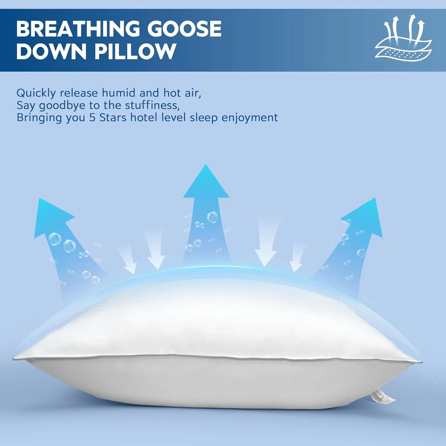 Natural Goose Down Pillows: Luxury Hotel Bed Pillow with 750 Fill Power, White Goose Down Sleeping Pillow with Pillowcase, Soft Pillow for Back, Side, Stomach Sleepers - 1 Pack, Queen (20" x 30")