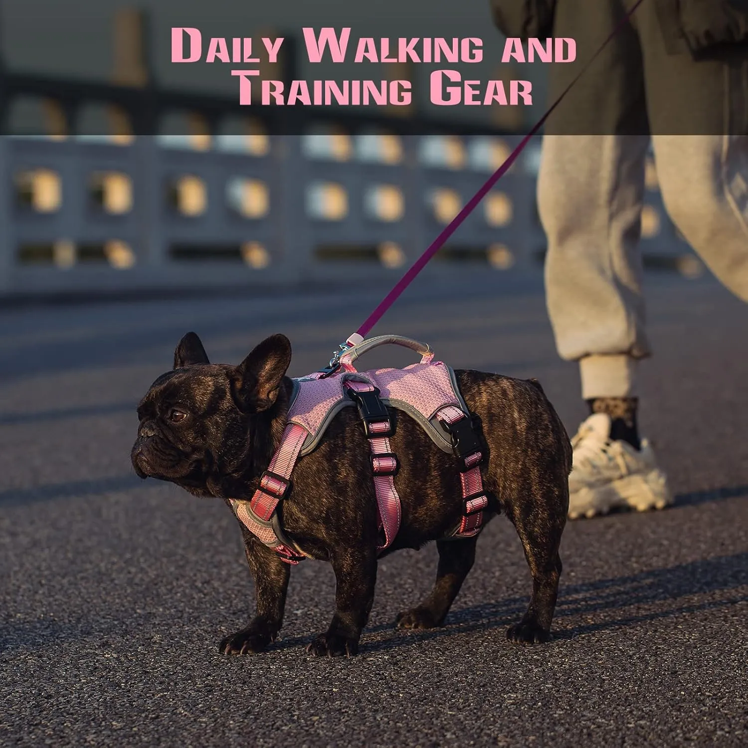 No Escape Dog Harness, Escape Proof Harness, Fully Reflective Harness with Padded Handle, Breathable,Durable, Adjustable Vest for Medium Dogs Walking, Training, and Running Gear (Pink, S)