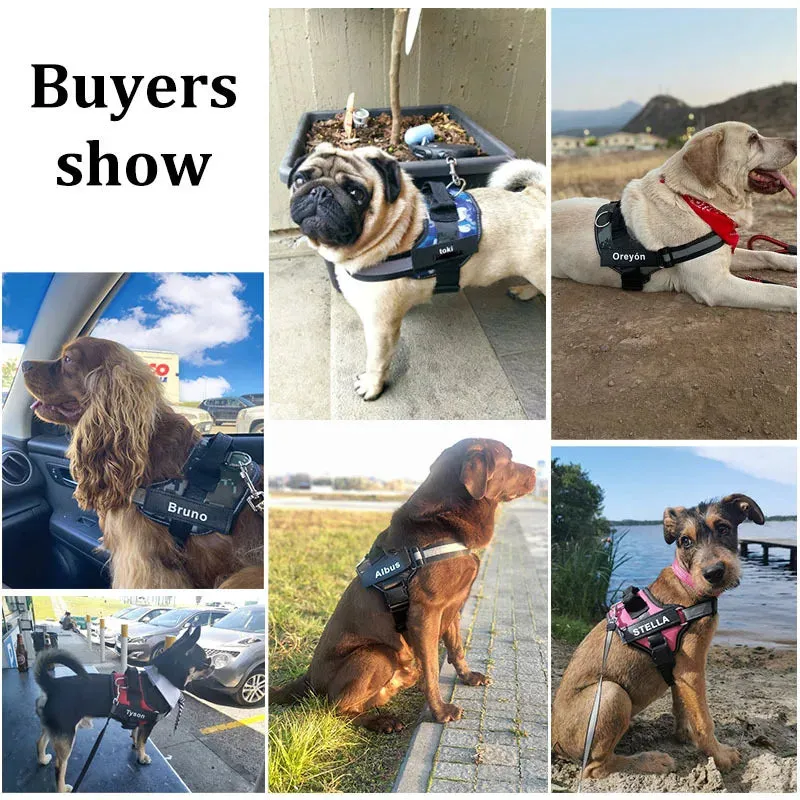 Personalized Dog Harness with Velcro – ID for All Dog Breeds