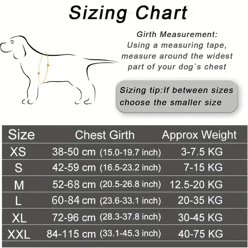 Personalized Dog Harness with Velcro – ID for All Dog Breeds