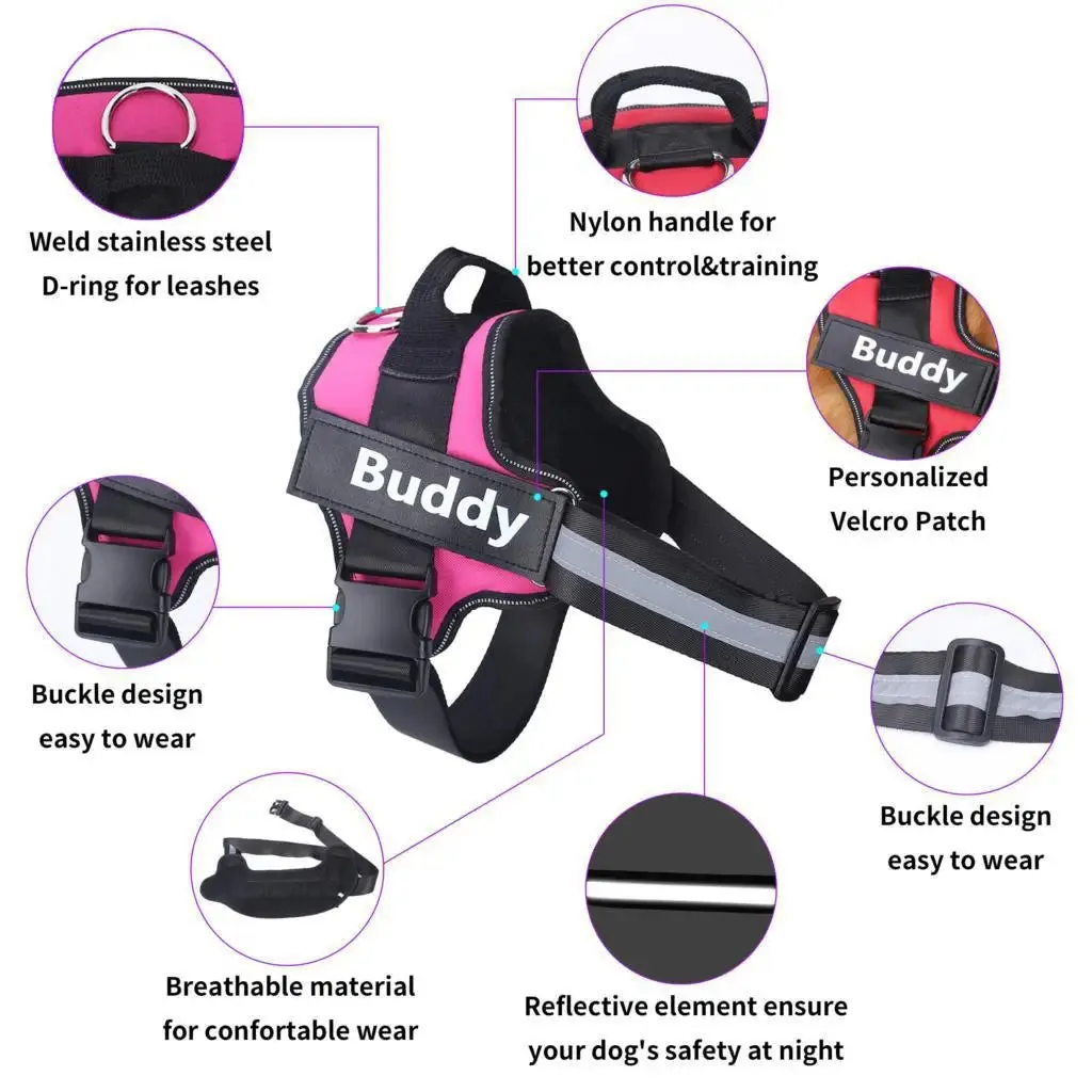 Personalized Dog Harness with Velcro – ID for All Dog Breeds