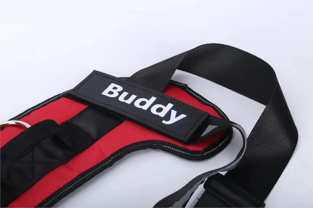 Personalized Dog Harness with Velcro – ID for All Dog Breeds