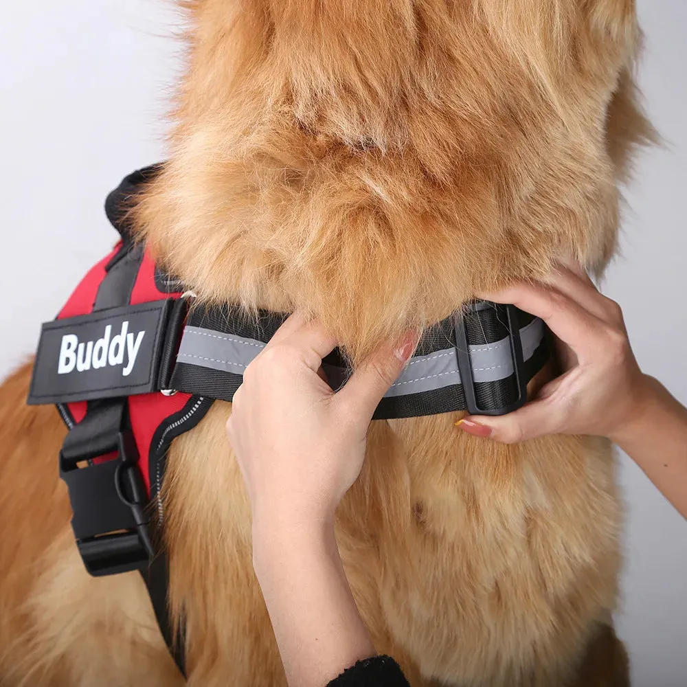 Personalized Dog Harness with Velcro – ID for All Dog Breeds
