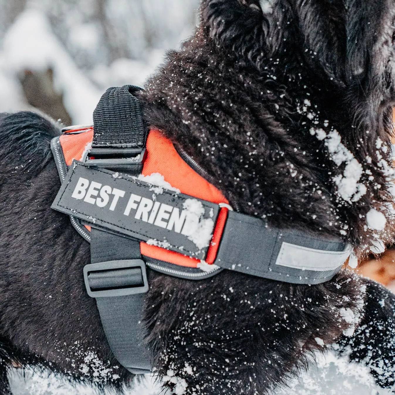 Personalized No-Pull Dog Harness with Name Patch, Adjustable, Reflective, Padded, Heavy Duty Pet Vest to Prevent Tugging, Pulling, or Choking, Training and Walking, Military Desert, XS