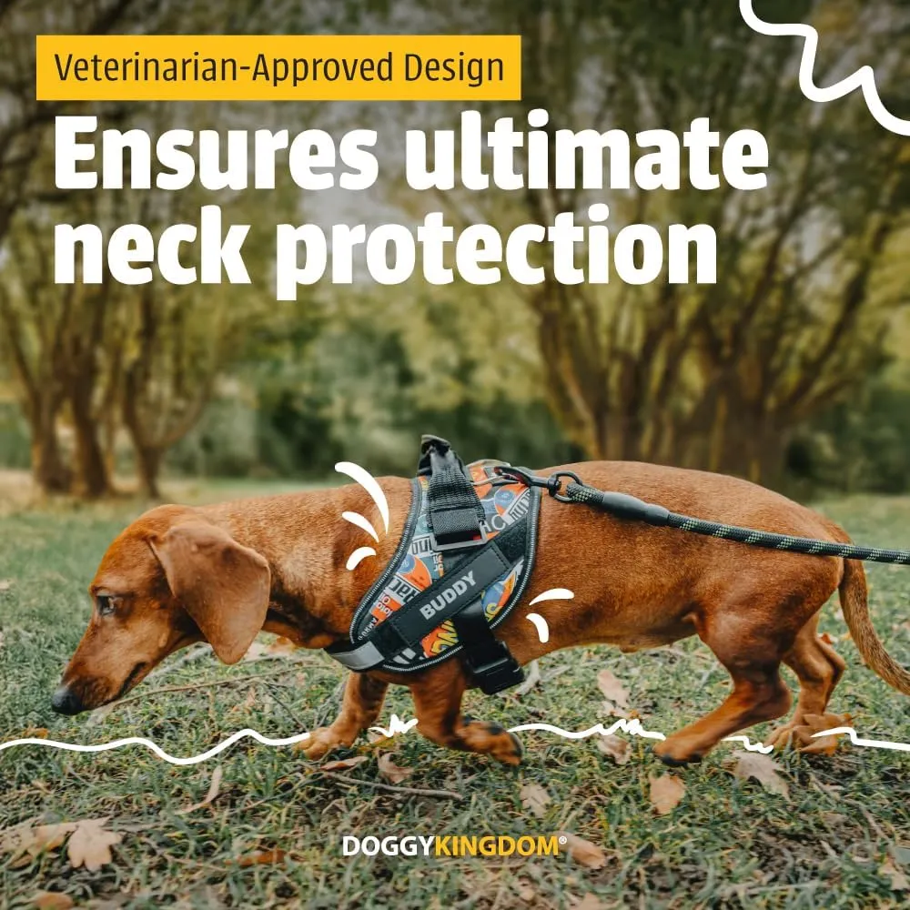 Personalized No-Pull Dog Harness with Name Patch, Adjustable, Reflective, Padded, Heavy Duty Pet Vest to Prevent Tugging, Pulling, or Choking, Training and Walking, Military Desert, XS