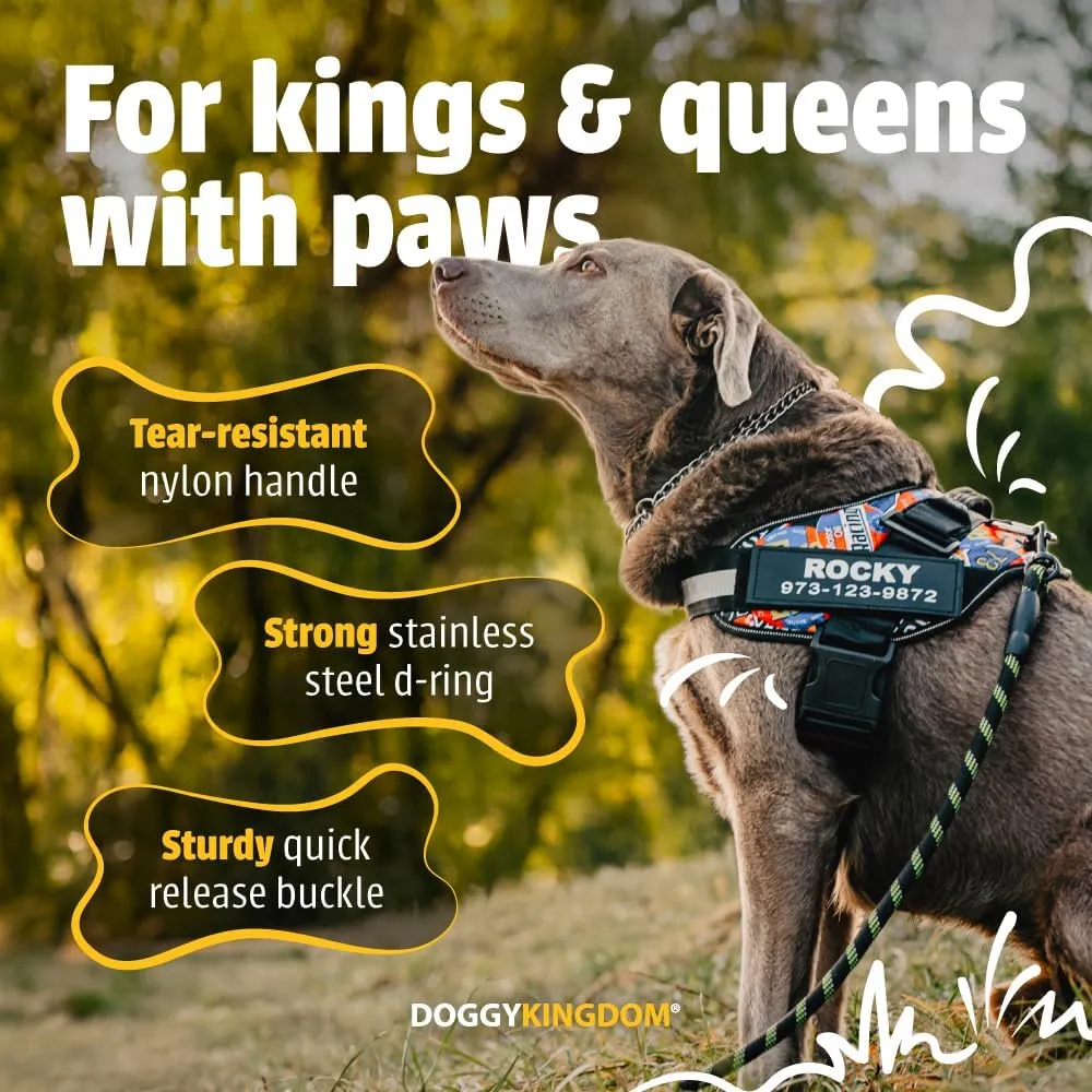 Personalized No-Pull Dog Harness with Name Patch, Adjustable, Reflective, Padded, Heavy Duty Pet Vest to Prevent Tugging, Pulling, or Choking, Training and Walking, Military Desert, XS