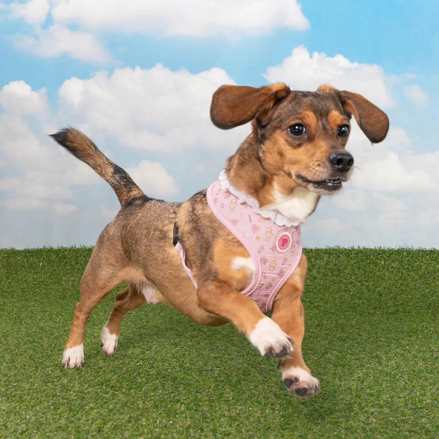 Pinkaholic New York Amara Dog Harness (Over-The-Head) Flower Pattern Fashionable Cute Spring Summer Harness for Small Dogs, Light Pink, Large