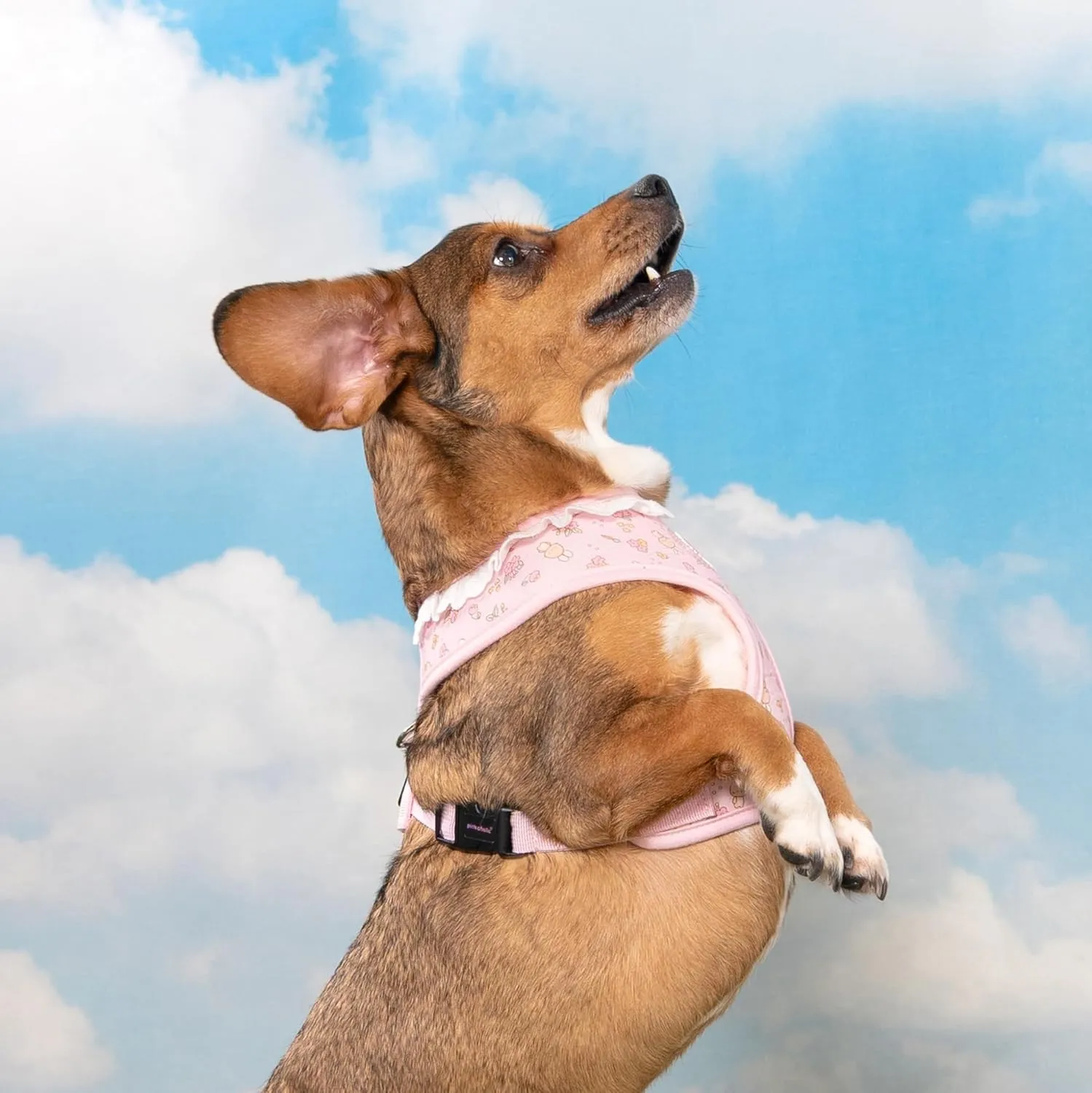 Pinkaholic New York Amara Dog Harness (Over-The-Head) Flower Pattern Fashionable Cute Spring Summer Harness for Small Dogs, Light Pink, Large