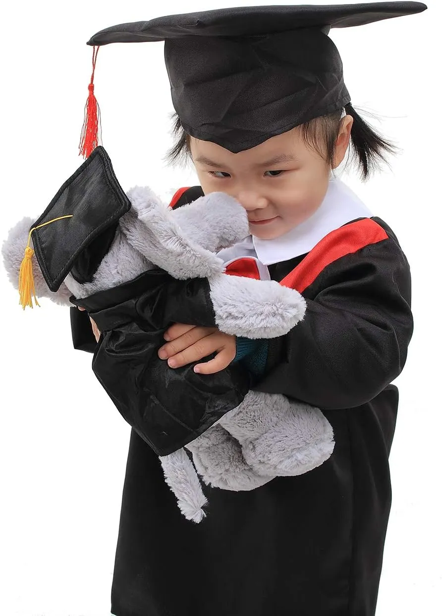 Plushland Brown Bear Plush Stuffed Animal Toys Present Gifts for Graduation Day, Personalized Text, Name or Your School Logo on Gown, Best for Any Grad School Kids 12 Inches(Forest Green Cap and Gown)