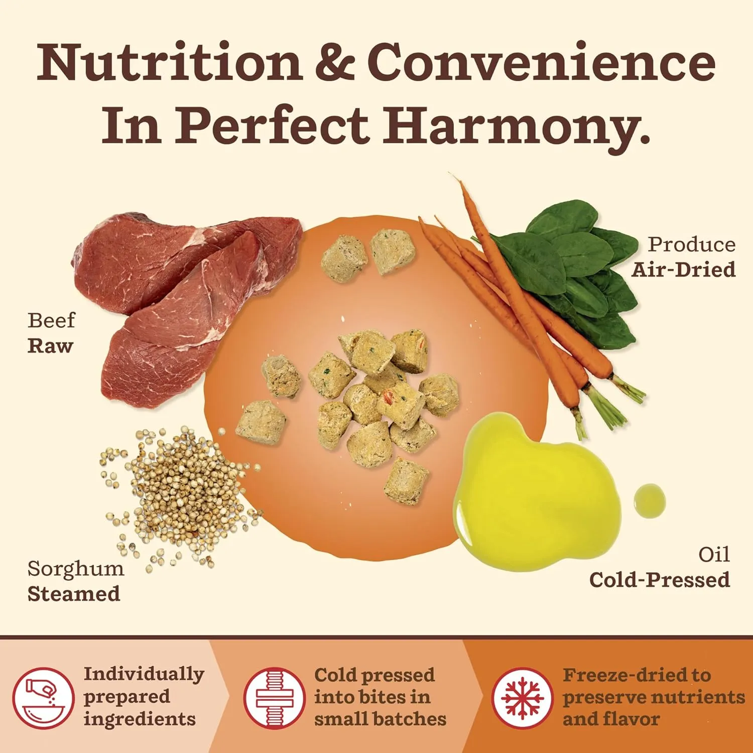 Primal Kibble in The Raw, Freeze Dried Dog Food, Beef, Scoop & Serve, Made with Raw Protein, Whole Ingredient Nutrition, Crafted in The USA, Dry Dog Food 5.4 lb Bag