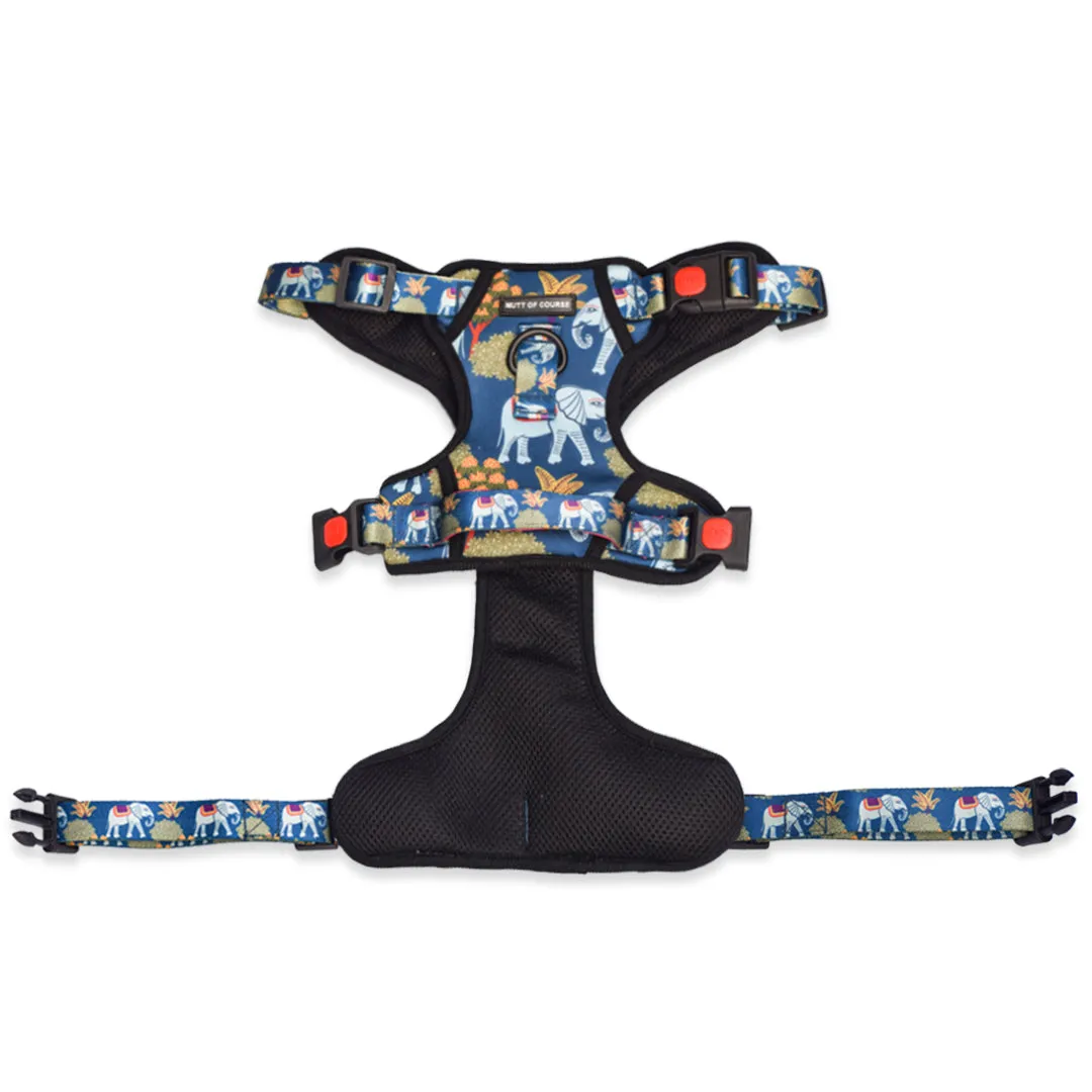 Royal Indian Elephant Ruff N' Tuff Harness