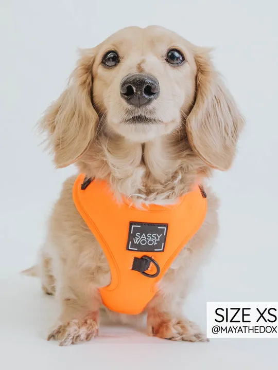 Sassy Woof Adjustable Harness - Neon Orange