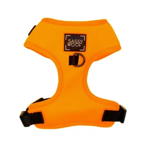 Sassy Woof Adjustable Harness - Neon Orange