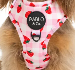Strawberry Fields Adjustable Harness