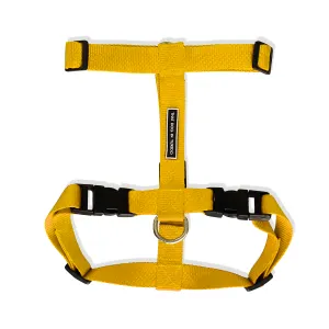 TDIT H-Harness - Yellow