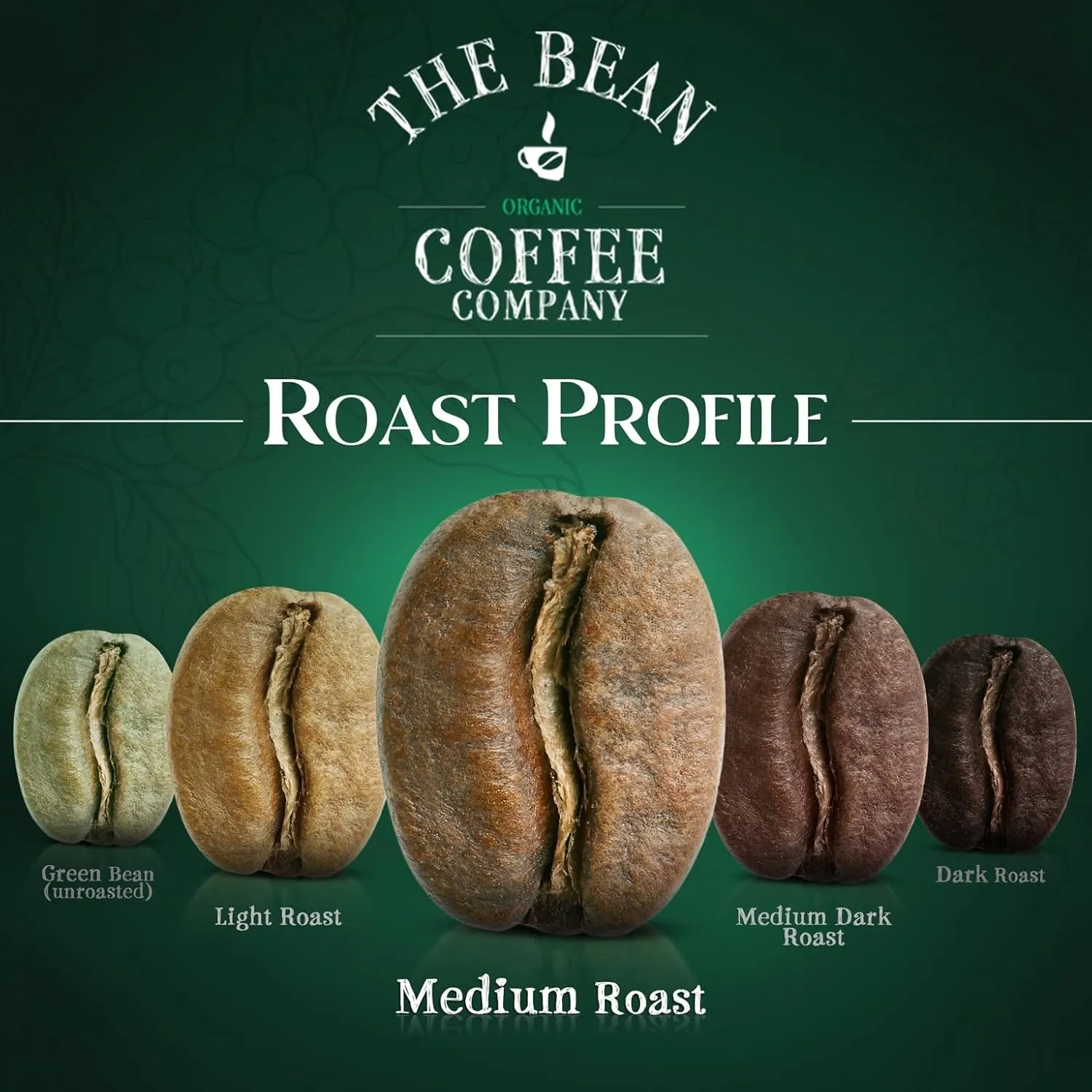 The Bean Organic Coffee Company South America, Medium Roast, Ground Coffee, 5-Pound Bag, Café molido tostado orgánico