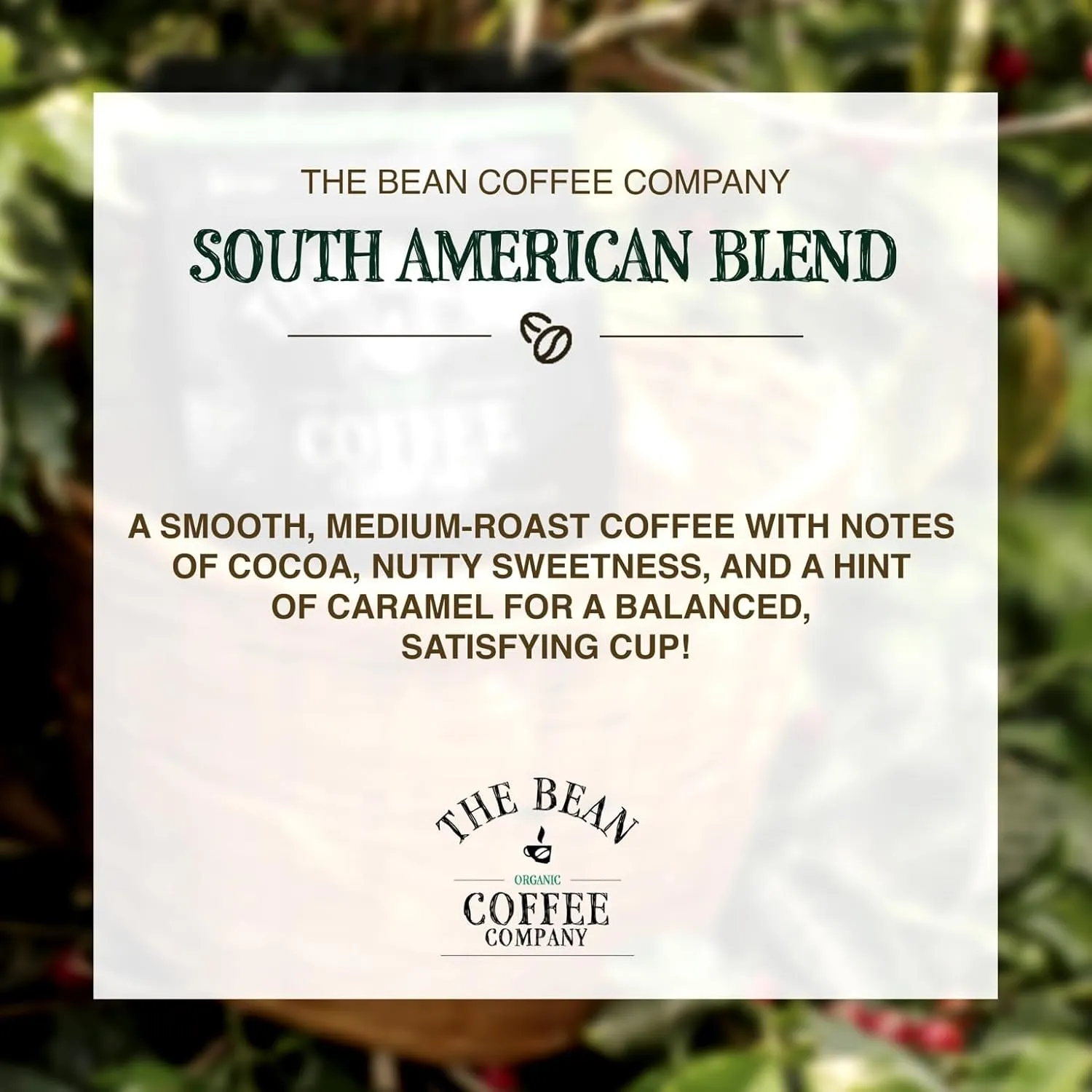 The Bean Organic Coffee Company South America, Medium Roast, Ground Coffee, 5-Pound Bag, Café molido tostado orgánico