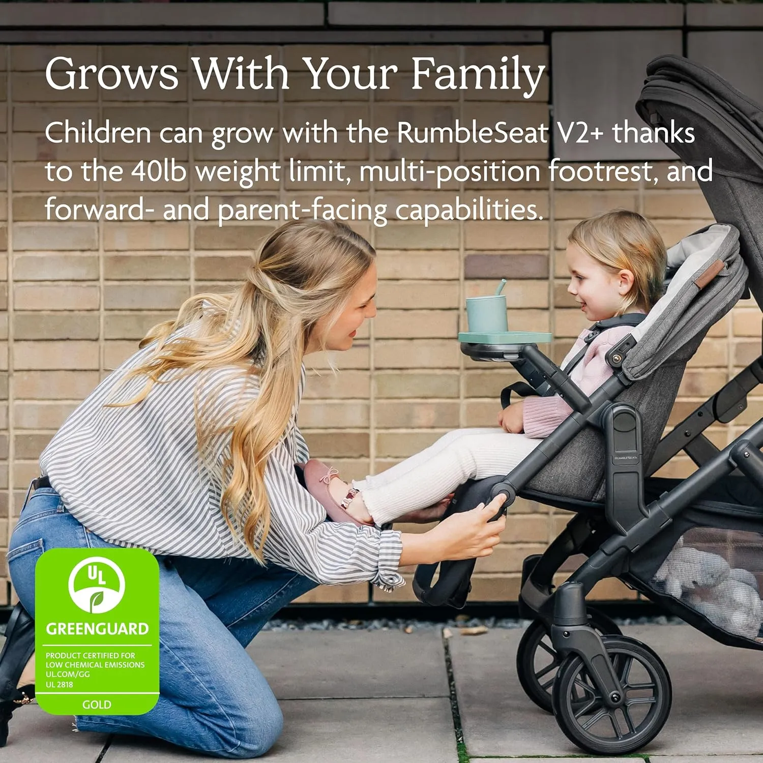 UPPAbaby RumbleSeat V2  Second Lower Seat/Compatible with Vista V2 and Vista V3 / Adapters, Bumper Bar, Bug Shield Included/Emmett (Green Mélange/Silver Frame/Saddle Leather)