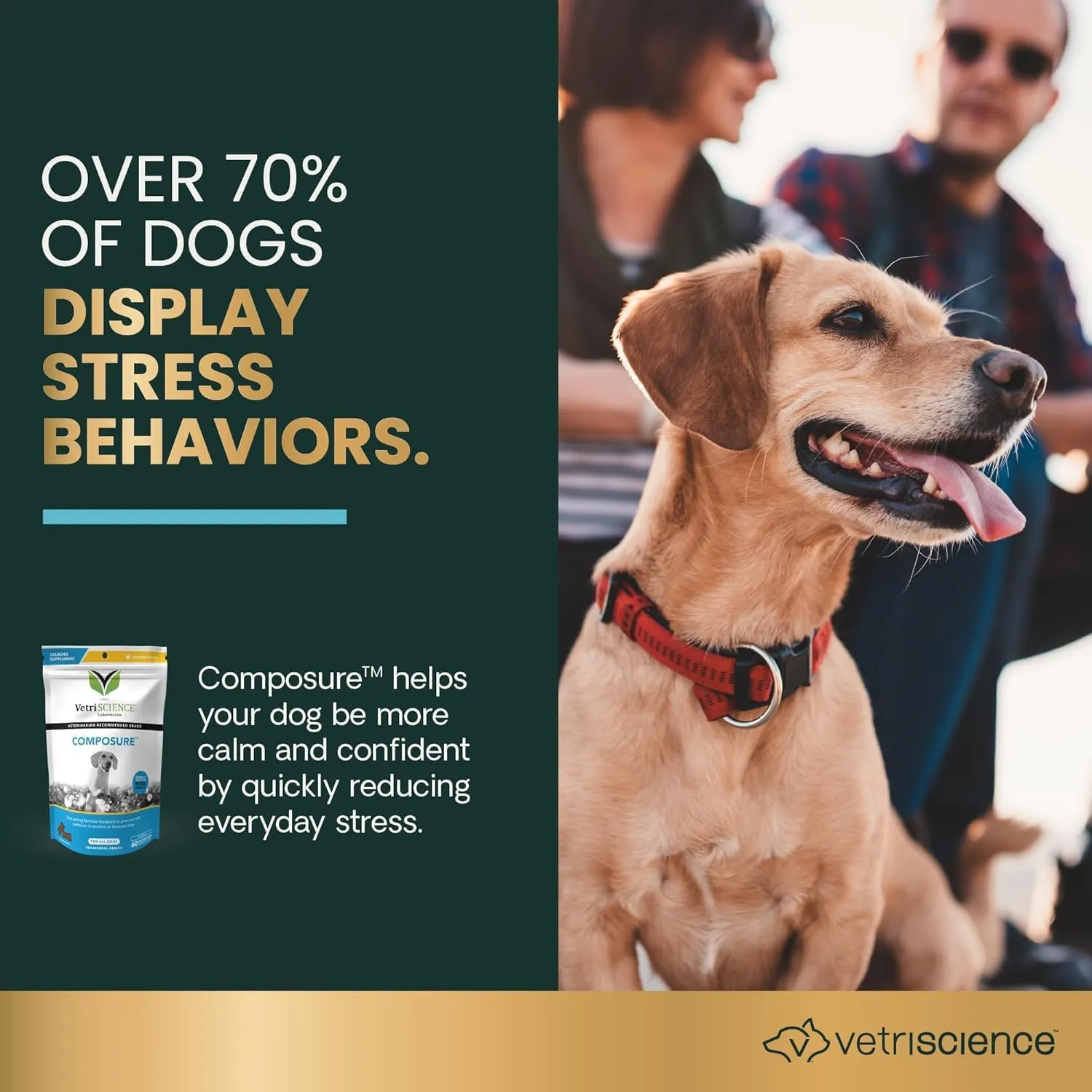 VETRISCIENCE Calm & Confident Chews, Composure Clinically Tested Calming & Anxiety Supplement for Dogs, Reduce Stress & Fear, Ideal for Thunderstorms, Fireworks & Travel, Chicken, 60 Count