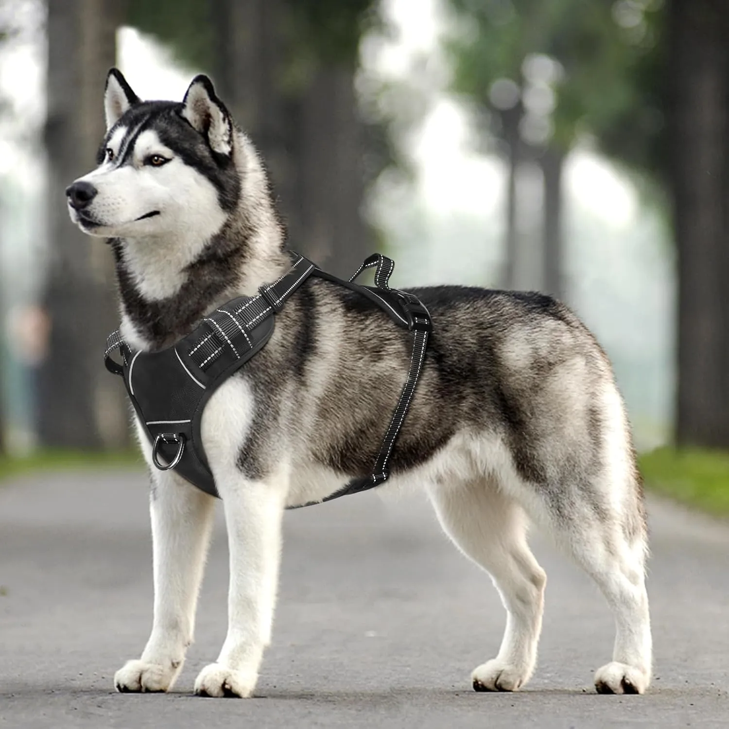 WINSEE Dog Harness No Pull, Adjustable Pet Vest with Front/Back Leash Clips, Reflective Soft Padded Dog Harness for Large Dogs, Easy Control Handle for Walking