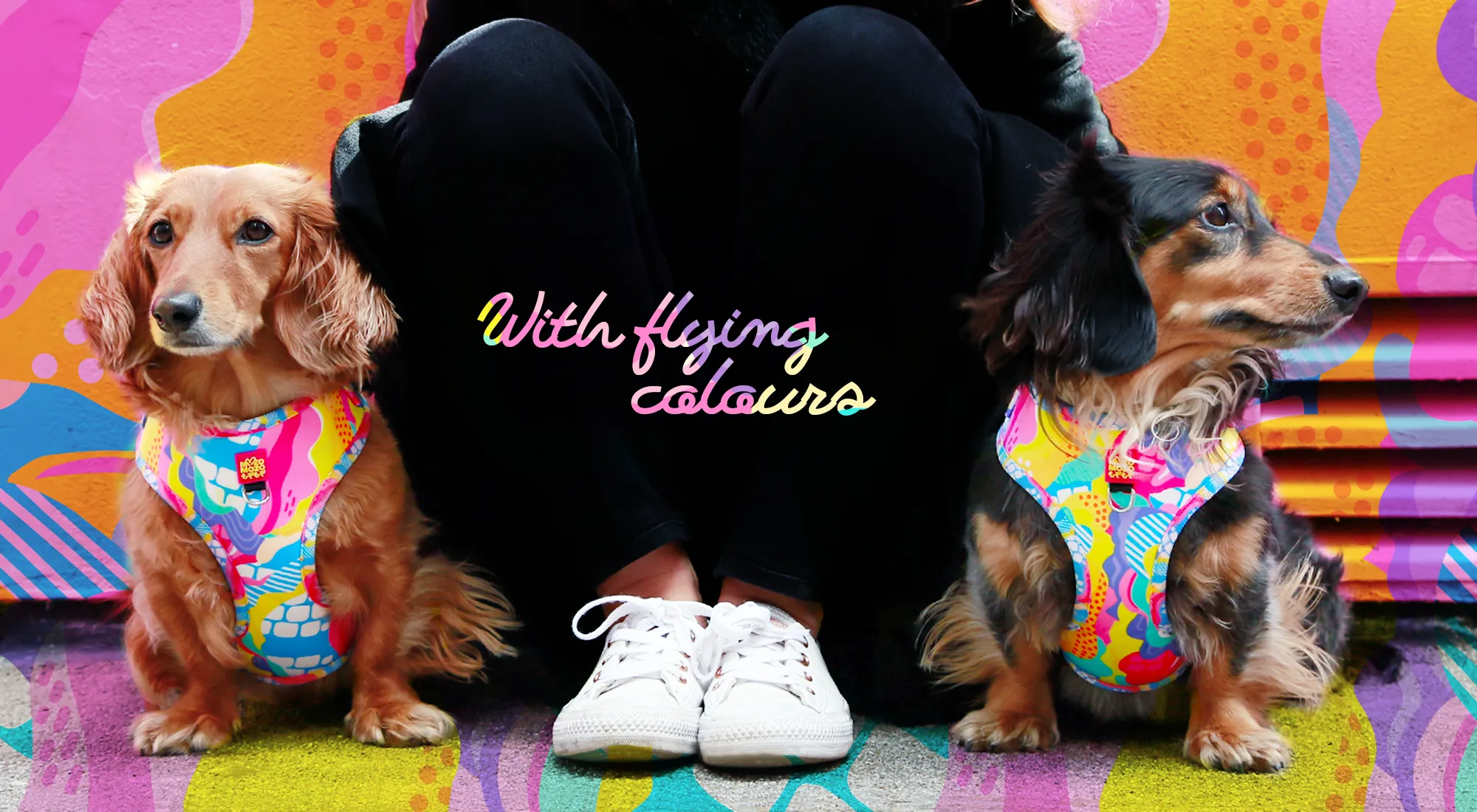 With flying colours adjustable harness