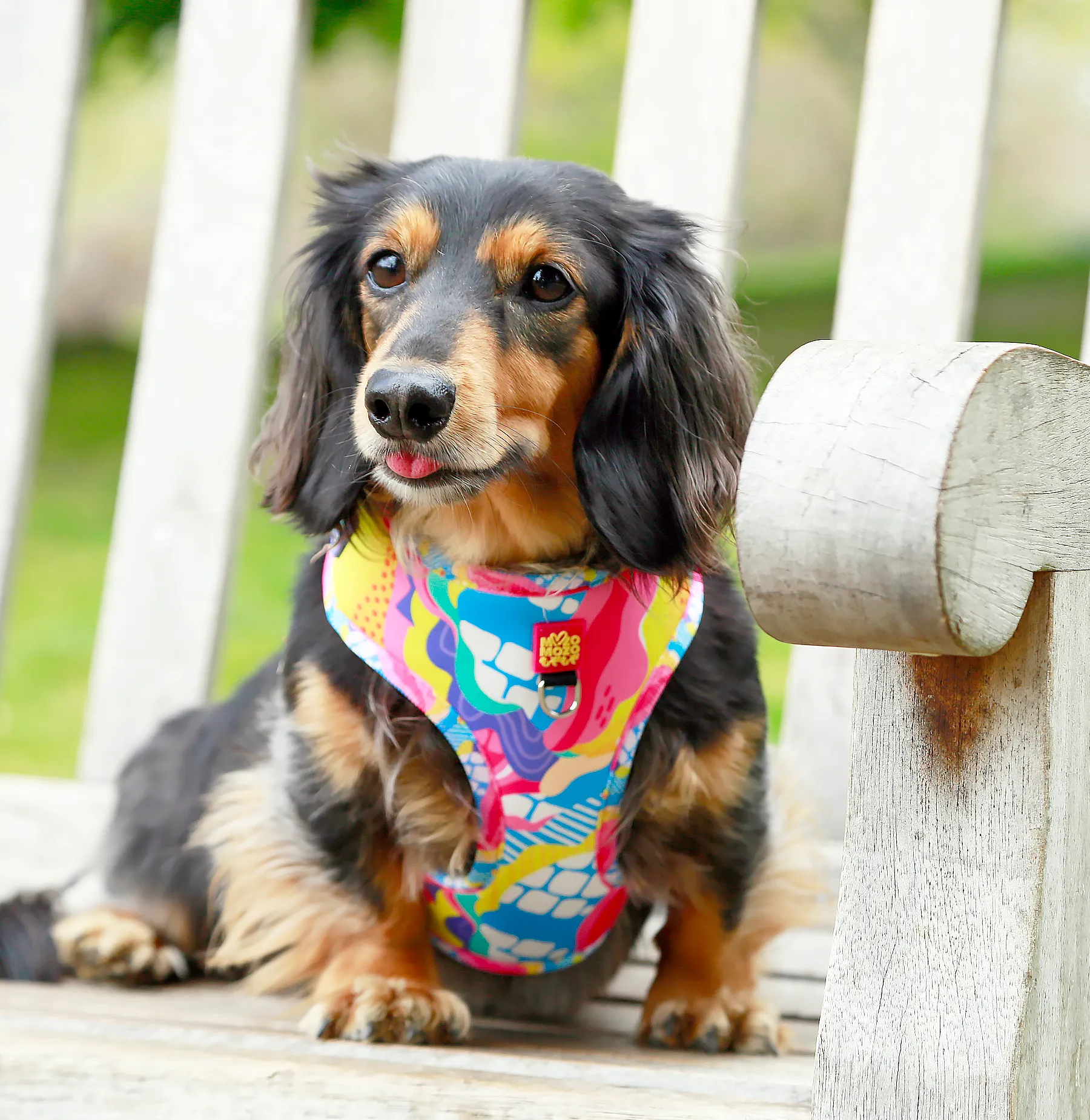 With flying colours adjustable harness